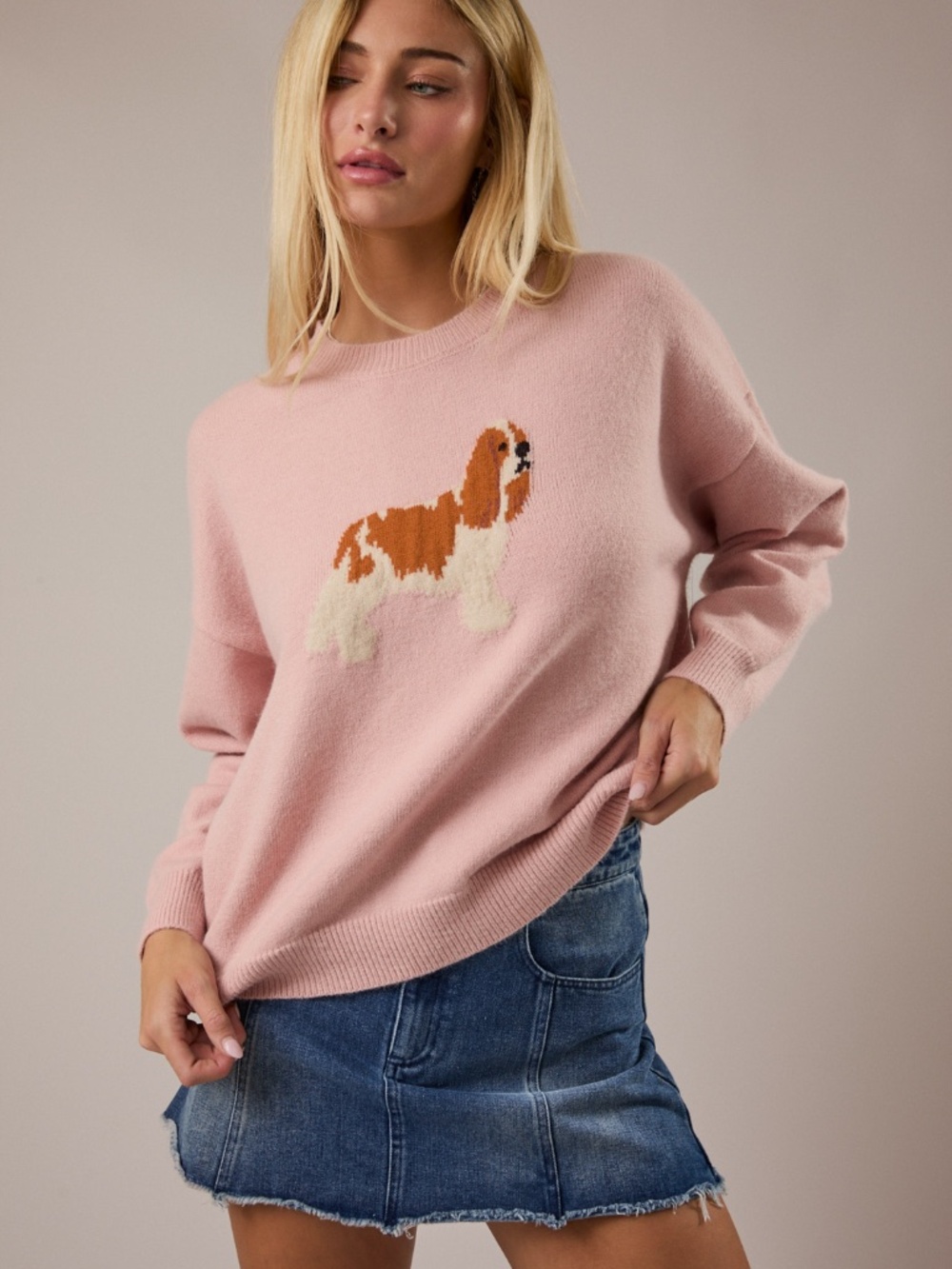 NWT Crew Neck King Charles Spaniel Dog Graphic Sweater